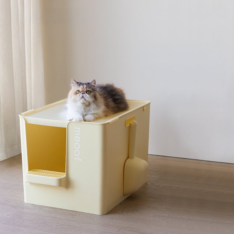 Extra Large Semi-Enclosed Cat Litter Box with Step & Scoop Set-8