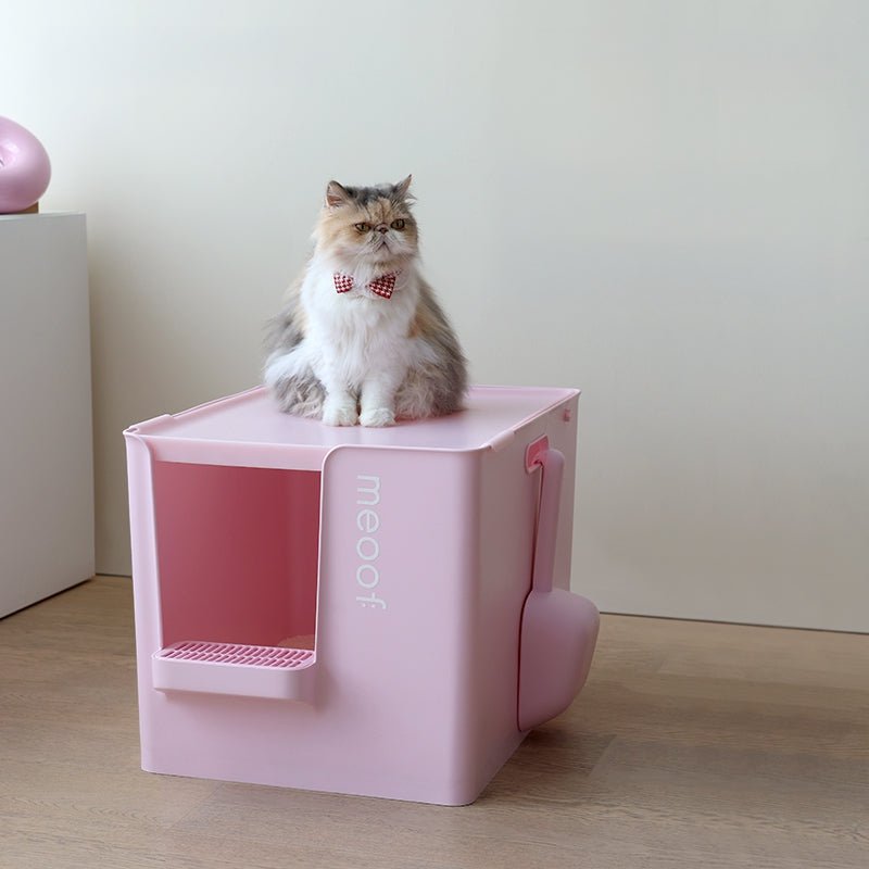 Extra Large Semi-Enclosed Cat Litter Box with Step & Scoop Set-7